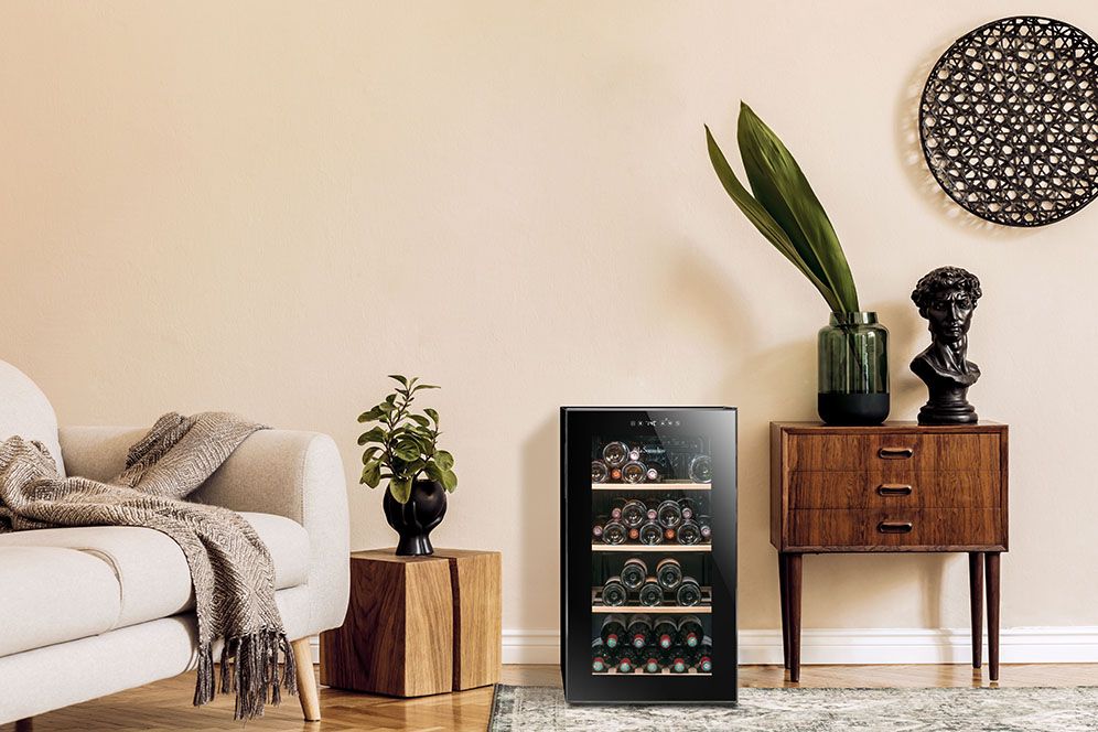 Petite cave à vin : La solution idéale pour conserver vos vins en toute simplicité